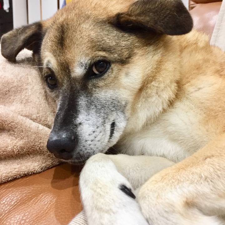 E585b676 7d62 40c2 8c43 dade373c80aa 1572262020824