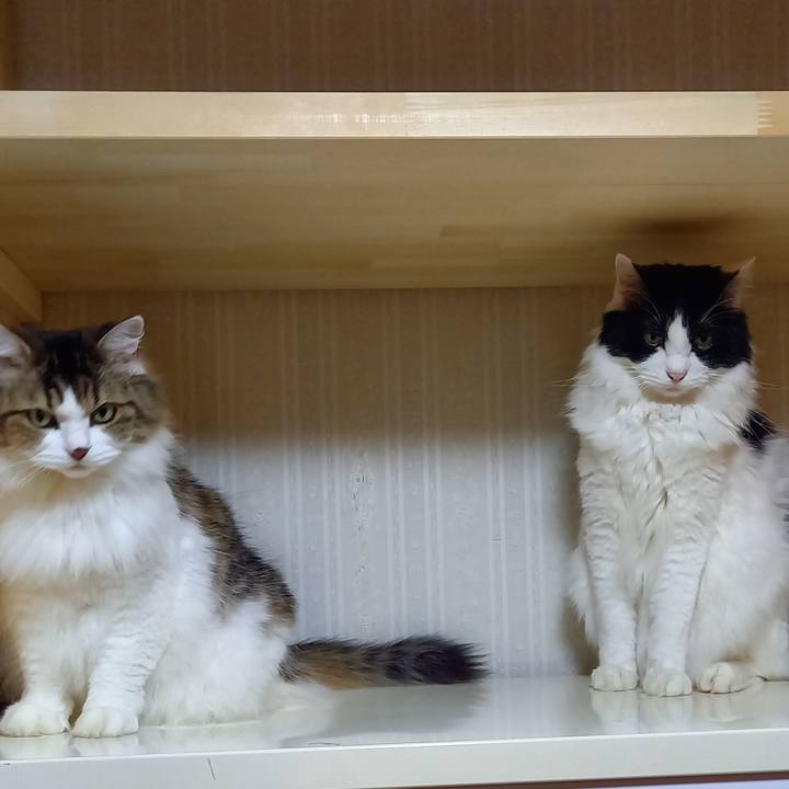 E585de31 45cf 4e80 b8c1 4db84f4968a2 1637183614394