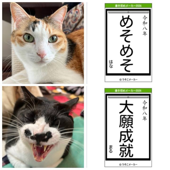 E5860a14 b066 46e1 af81 9ceff04c57ef 1767252413083