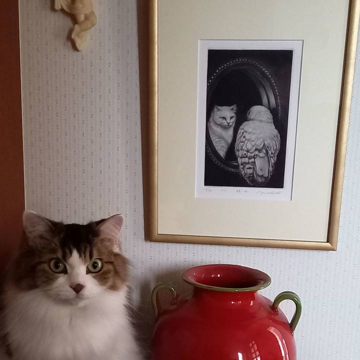 E5860ee7 7c75 472f b1ab 03f1c167e897 1601784141109