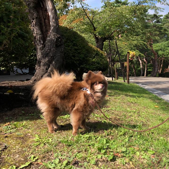 E5861352 5131 4304 8998 2faa5f3878a7 1569669644656