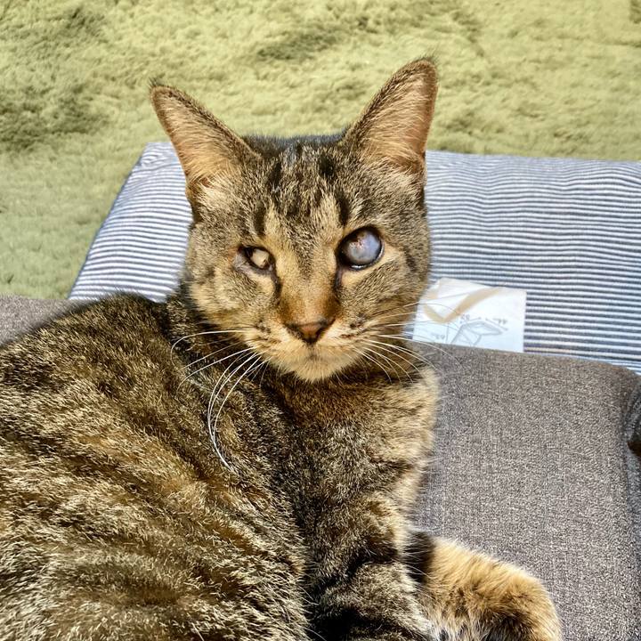 E5865568 491d 4dd4 80f8 6cf4ae038cd4 1649848922009