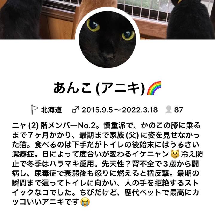 E5868bd7 bcba 4ddc 8bb3 8435d44ed1bd 1701419519699