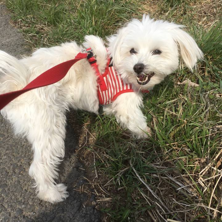 E5869500 551d 433c ae56 133fdd46ea48 1521088452024