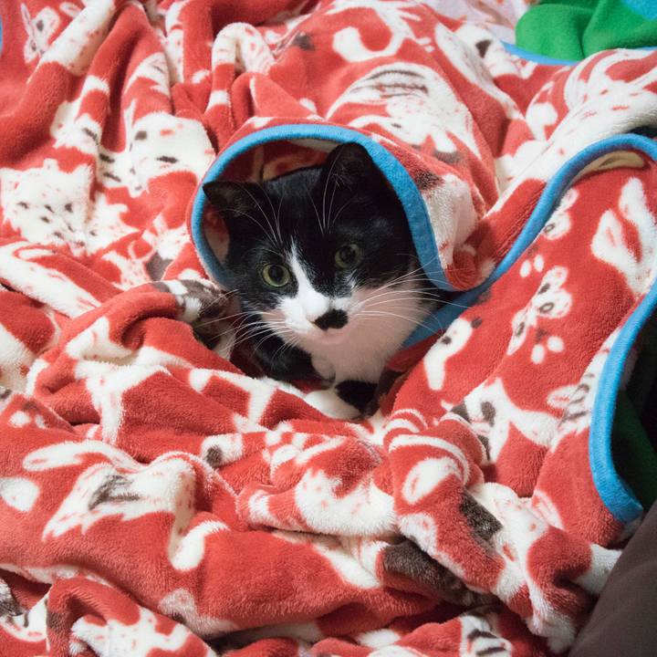 E586d249 8ee2 423a 853b 1b1c87a8ef01 1549669137894