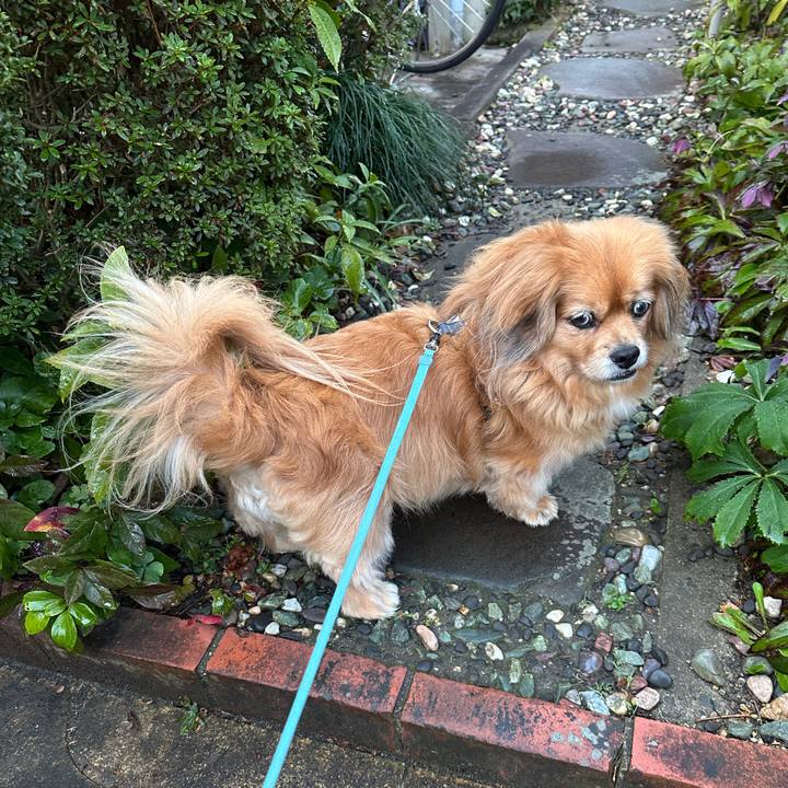 E586e633 5f83 4598 b7ae 0556dda767a5 1741816101329