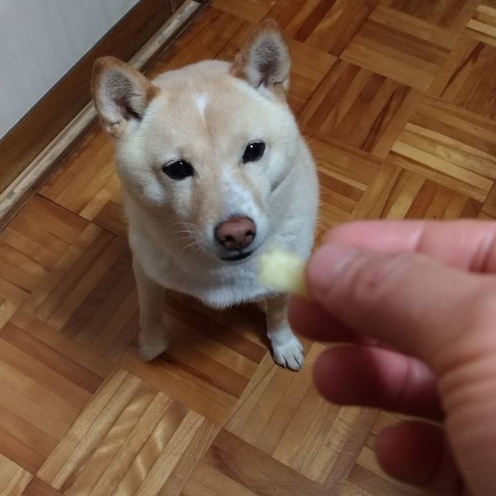 E586f3d7 9973 420a b9ca 106dbc47d503 1608158418934