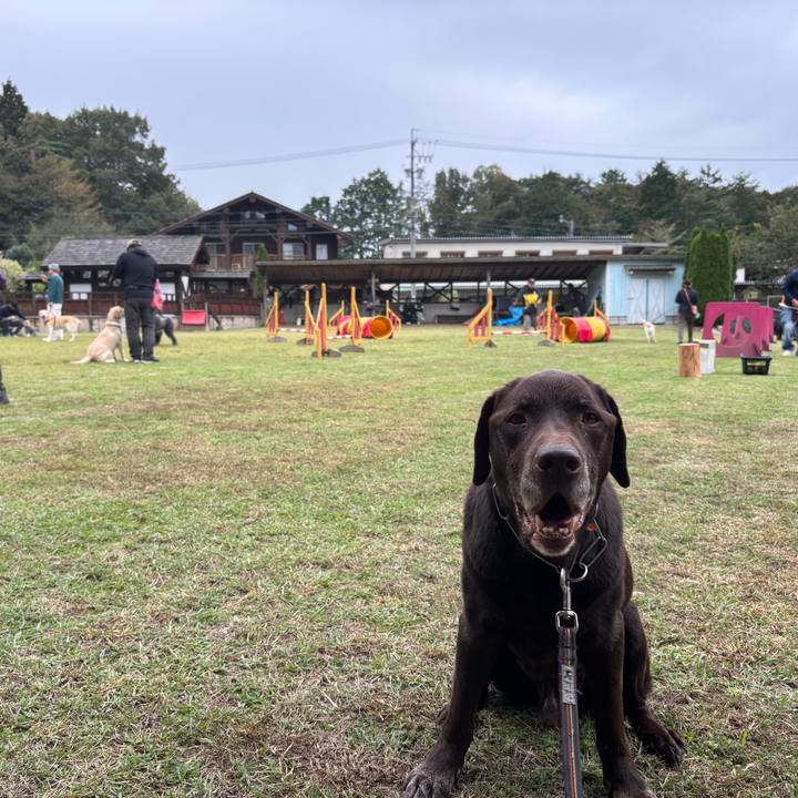 E587208a f1fb 43bb 8d84 c68c34f9b47d 1761462628777