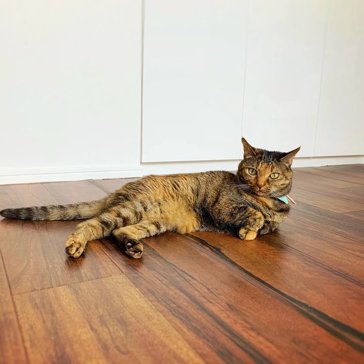 E587209d 411b 488c 8b5a fdba364ab28c 1559102718060