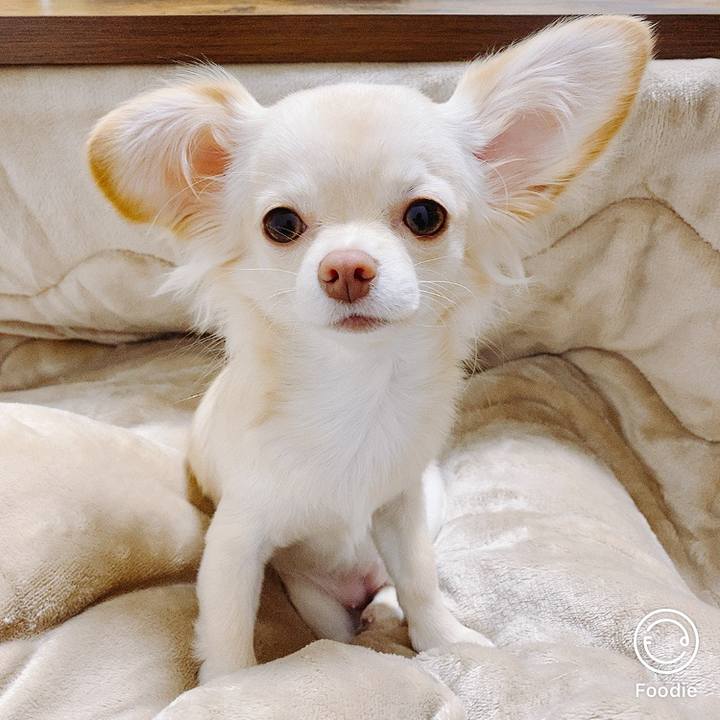 E5873fcb 227e 49cf b686 a9fb64b069d3 1607605181504