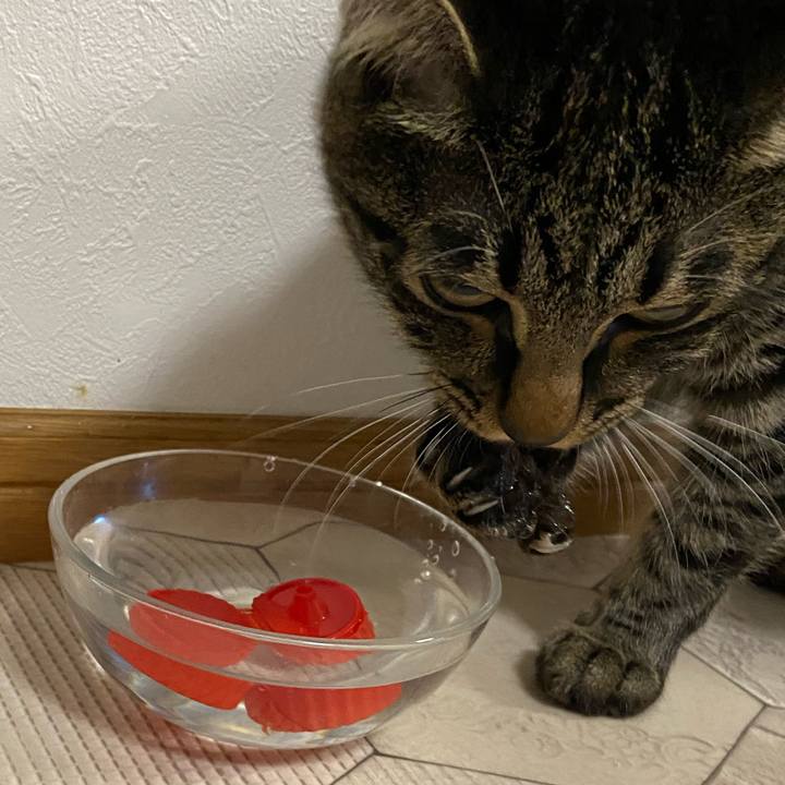 E58751d3 a1e8 4b6a 8a3b 003352a50049 1620560651935