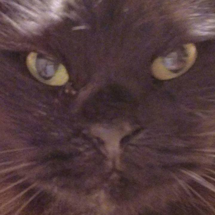 E5876fe2 127f 424a 9392 0673d2af836b 1519988586968