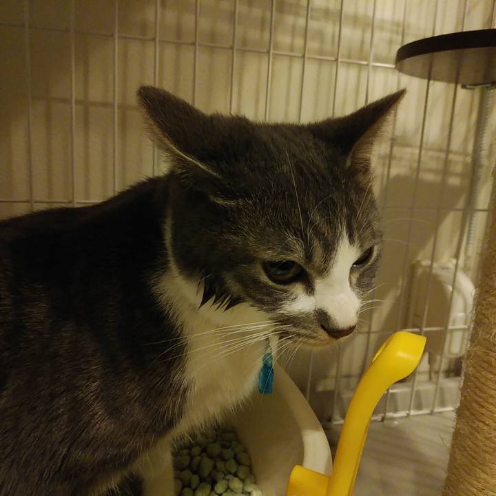 E587c115 01c8 4311 b5e7 55ae0037f98a 1582034086831