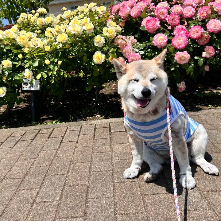 E587de28 e3f6 4bfb 9c0a 16fe8f797612 1746674523303