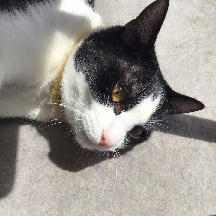 E587df68 aed6 4dbe a330 caef56f0ca77 1648446297503