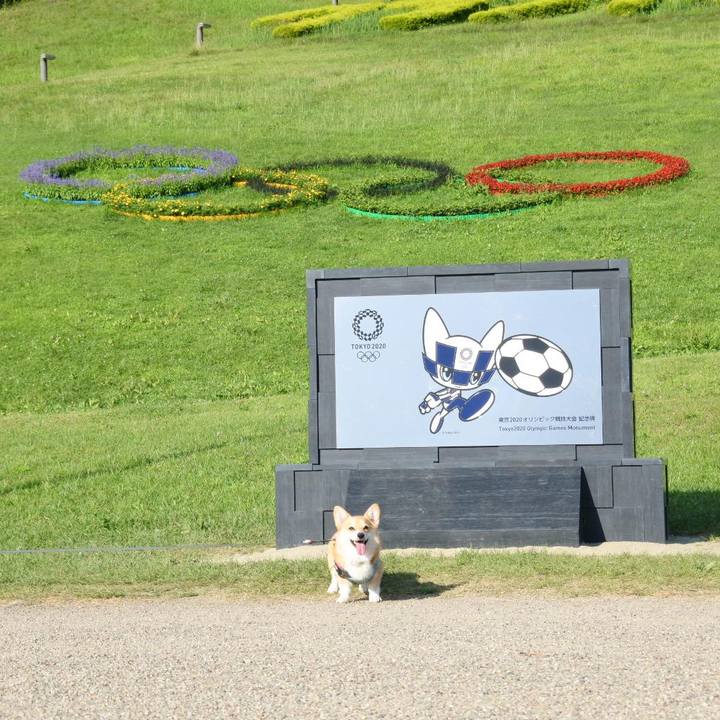 E587f190 37d7 4eb5 a56a 6b170e79c213 1627191727379