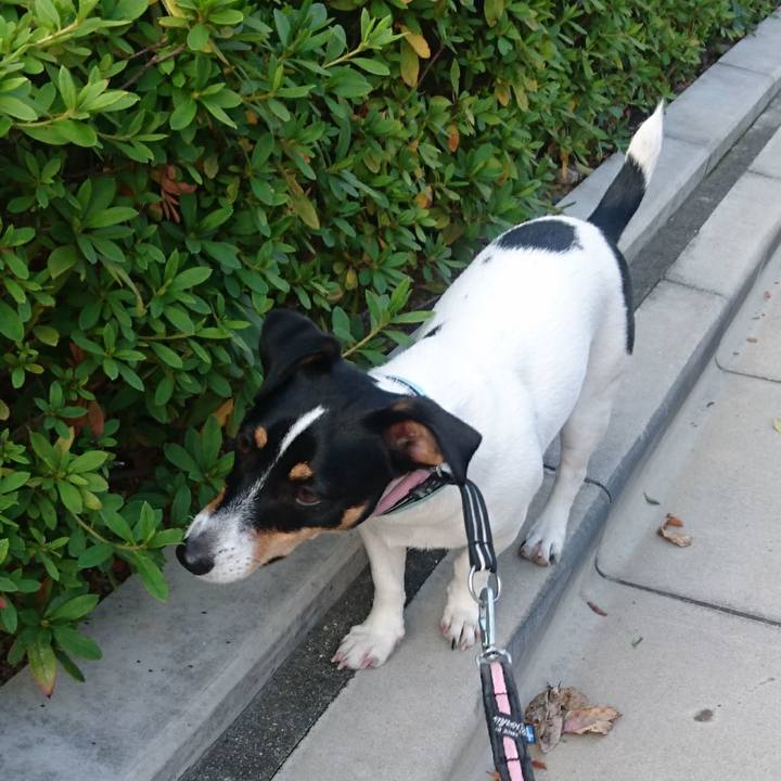 E58800f7 1841 4e94 9c10 bf506a787aff 1543024098094