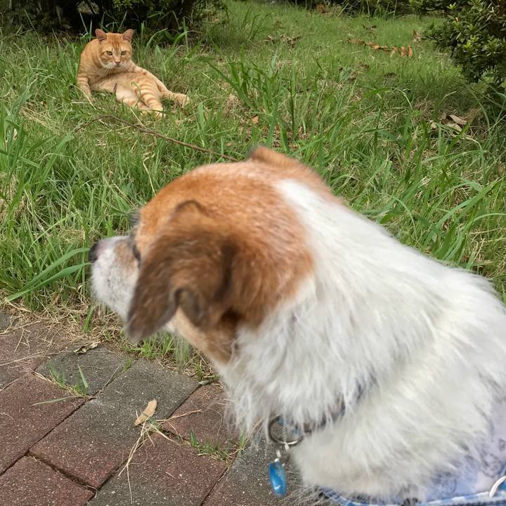 E5881b6d 662e 44fe be6b 34a6d7b48a53 1568449874055