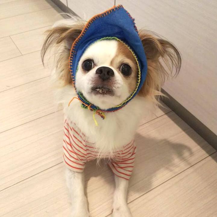 E5883bdc f92d 4a11 a243 d2ef602af806 1685604214871