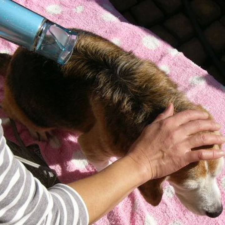 E5884116 50b6 439f 99b8 2508238bf4e1 1670120973199