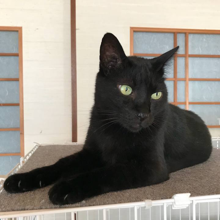 E588c81e f6f7 4304 814f 0602bad4e9e1 1531964648939