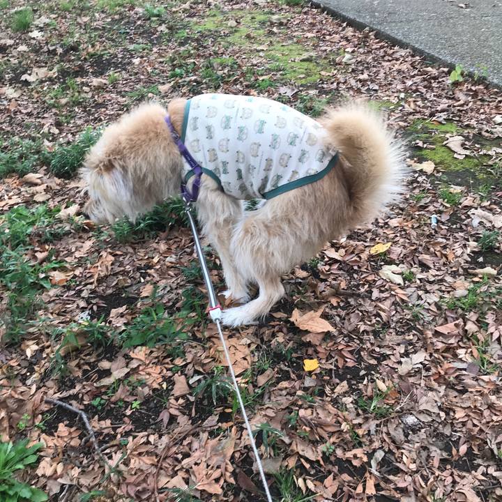 E588dca1 b606 4f4d b7f1 33446448adc3 1542849163427