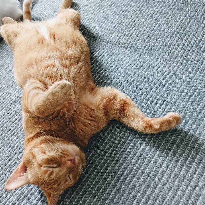 E588e02d de93 4c90 ab57 ebe33a94f5fe 1629512386255