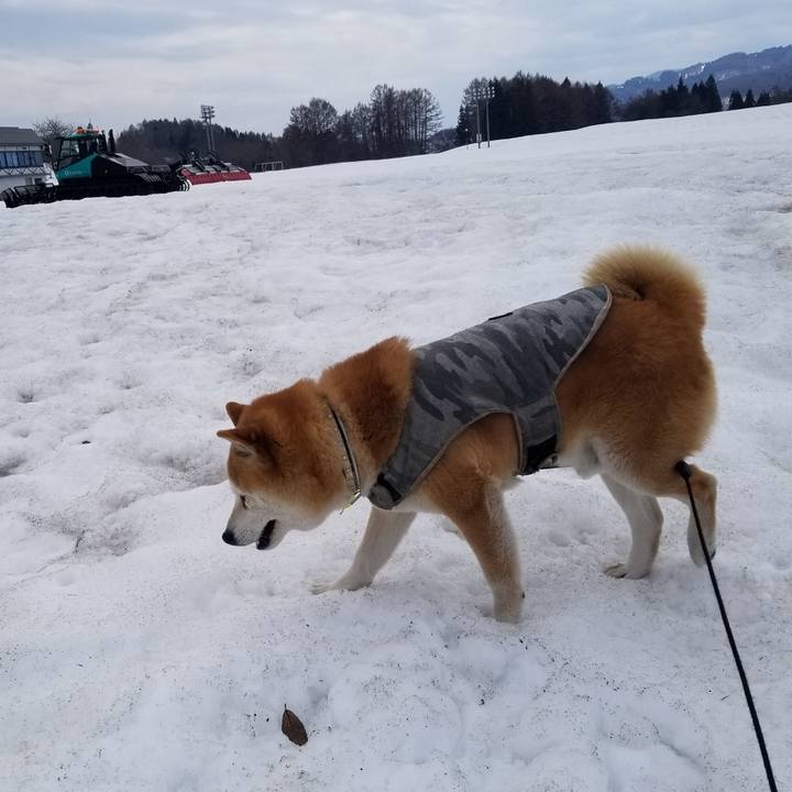 E588e0dc 701a 4544 a212 9bf1f07c0fc3 1648960847488