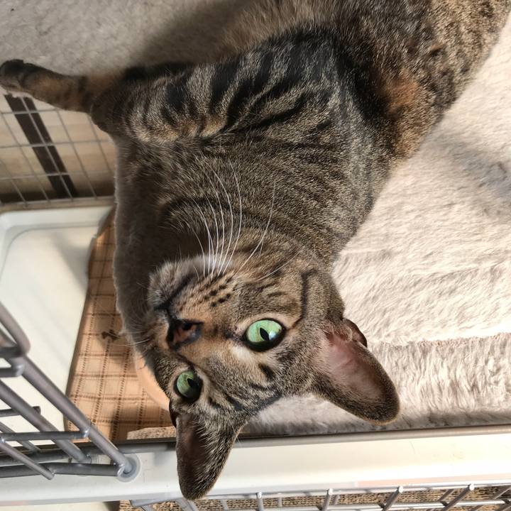 E588f664 0846 40b0 a1ab 634da4a20ba3 1521853266133