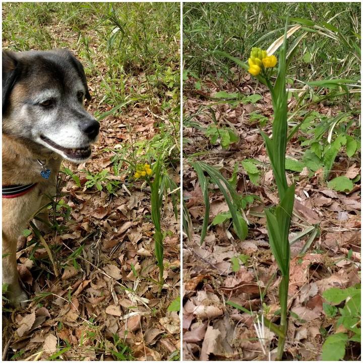 E589000e 3263 4579 9e92 e114aacc14d1 1555892833180