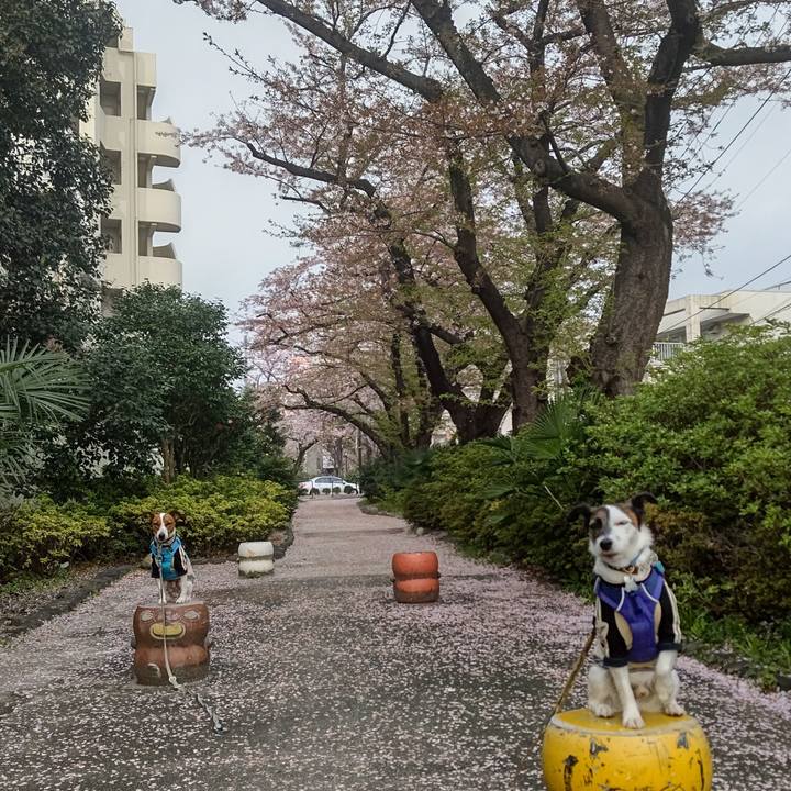 E5891eed 4b7a 466f b91f f0f2928fff5a 1649196575788