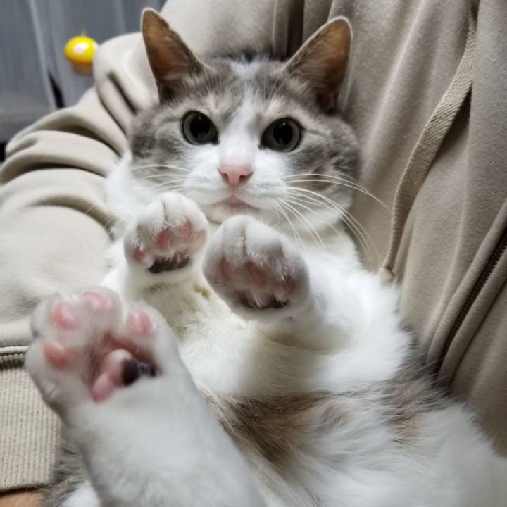 E58927bb d9ee 421a 9829 62ca2d61290f 1671269532517