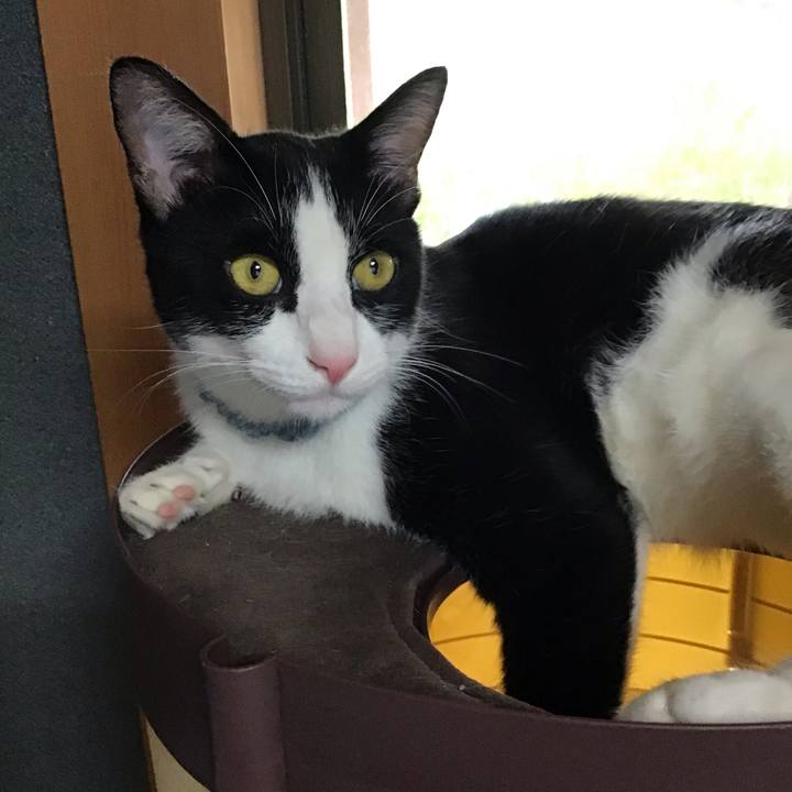 E58940a1 3d0f 4432 93e9 5b0509969772 1664865743648