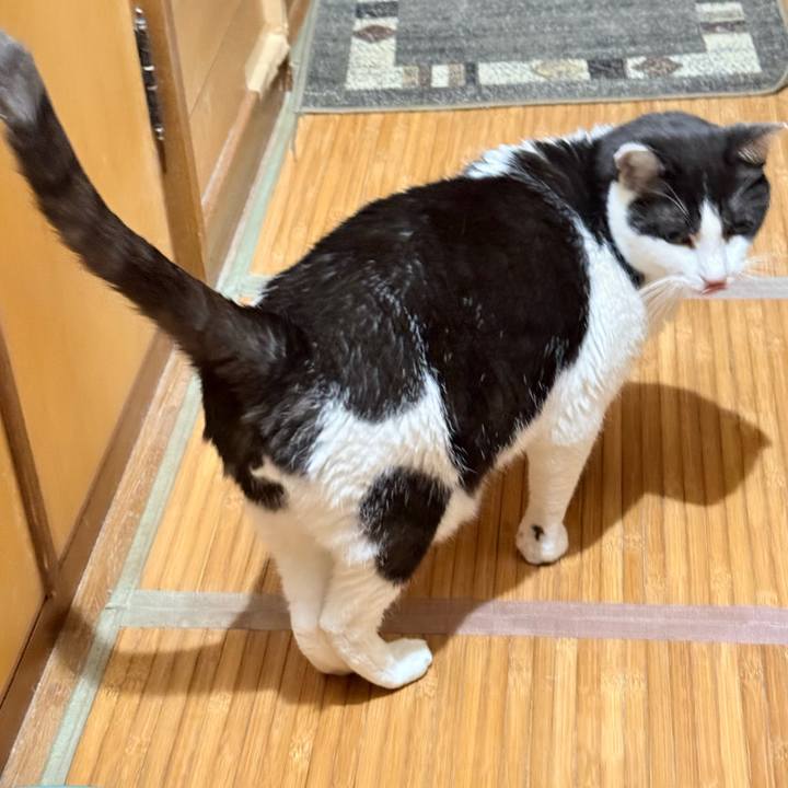 E5894fba 2422 4156 befc 8f9af6ce2d1d 1765163063304