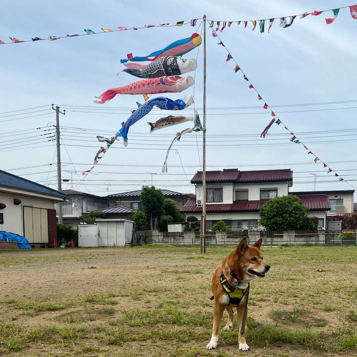 E5895aa5 a0d1 47e0 afb7 f7108c797177 1714367823675