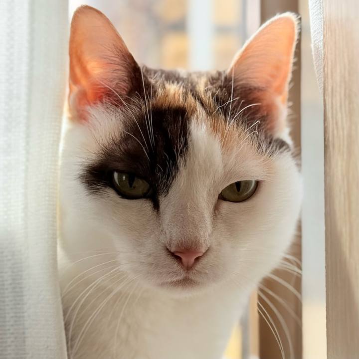 E5895ff8 3435 4b40 b012 43fbac77b669 1744075826098