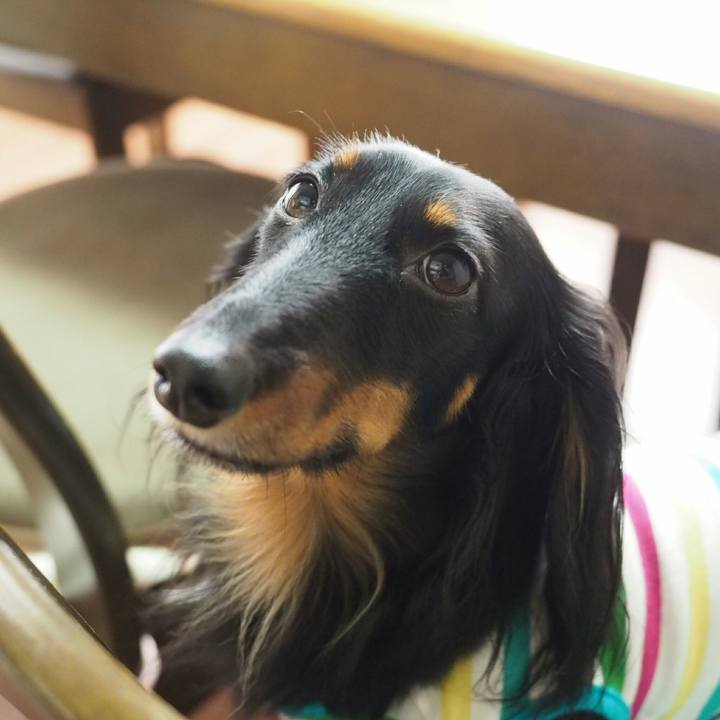 E5896c8d 166a 4b28 babb eb125c113405 1533600461872