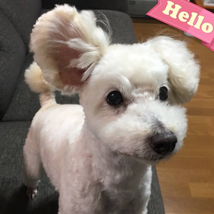 E5899f53 fca0 407f a02e f7792f7344f7 1519263698540