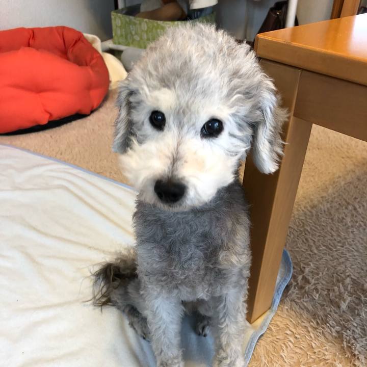 E589ea6f c428 4e6d 8e50 ef1549c57866 1560207082889