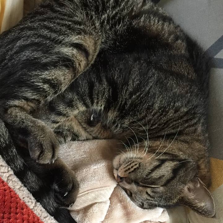 E589ffe2 276d 48a1 afa5 2525578715eb 1536127778234