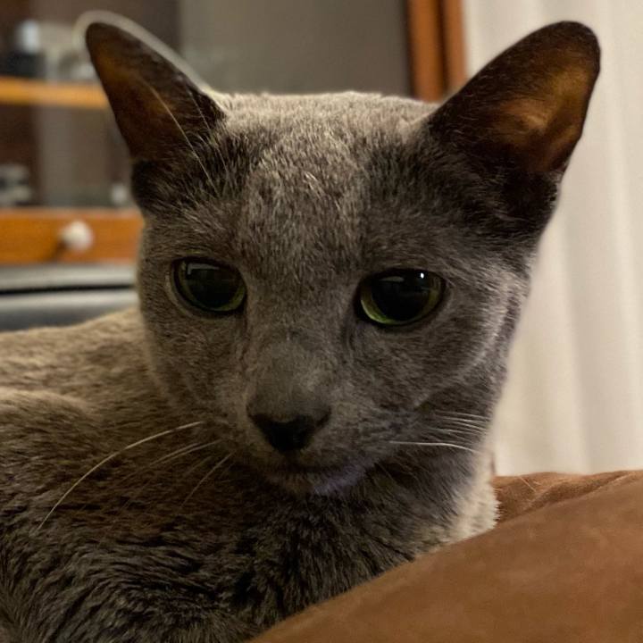 E58a0383 31f0 46f3 8e4e 7a301291ee18 1603459132181