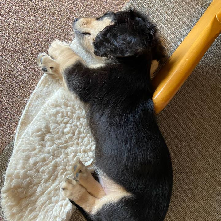 E58a3592 2a38 4fa5 a47e 741de703b36f 1665280442884