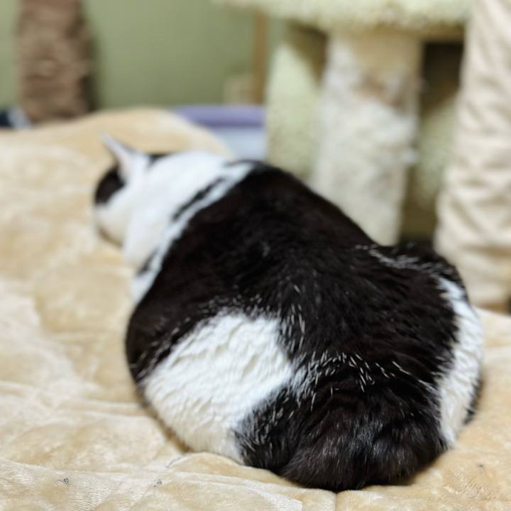 E58a3b15 1f39 4089 9618 fa7f6e148b99 1679275480749