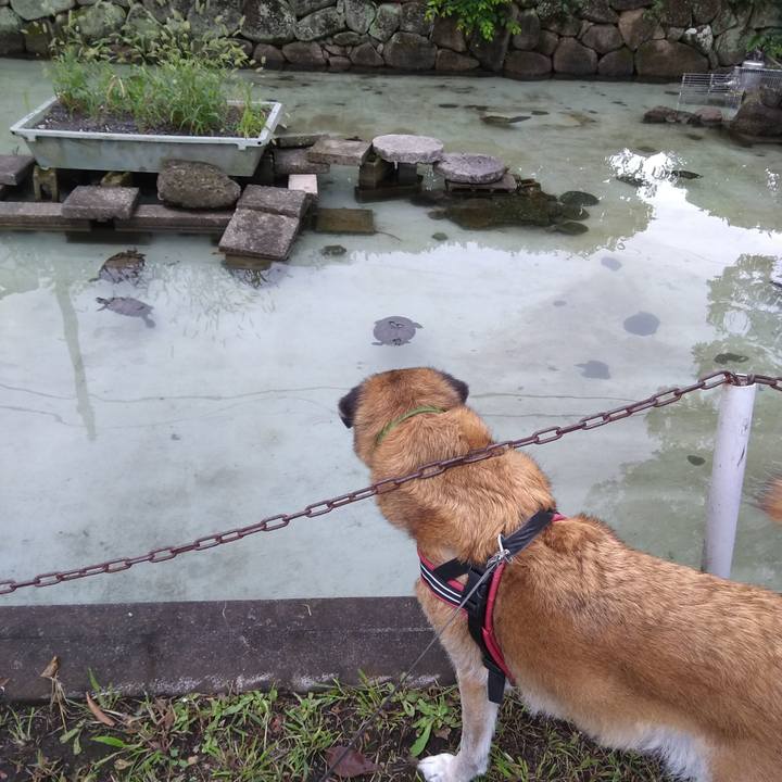 E58a4142 b6ee 46e3 a05f 632a661bacdf 1568850285673