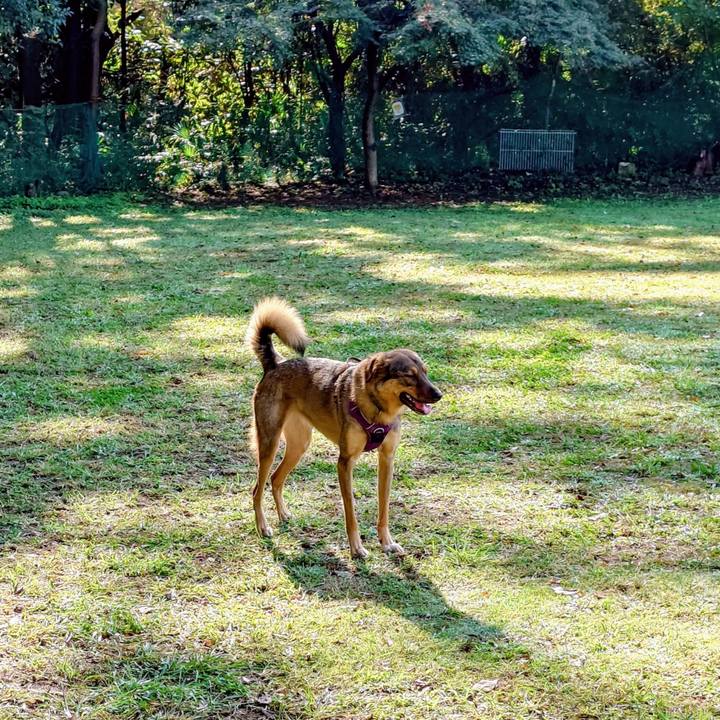 E58a7dde 22b7 496e 9a5c 44c245a77f17 1760241286702