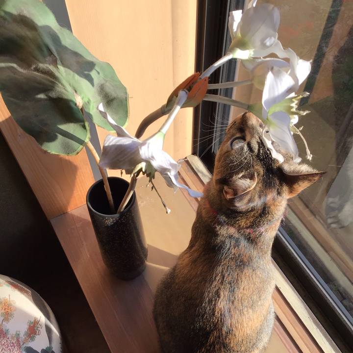 E58a8909 2540 417a b673 827f14b768ef 1607557597030