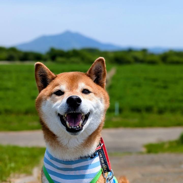 E58ab197 cde4 4d7a 858e c871b4d62b30 1746593889136