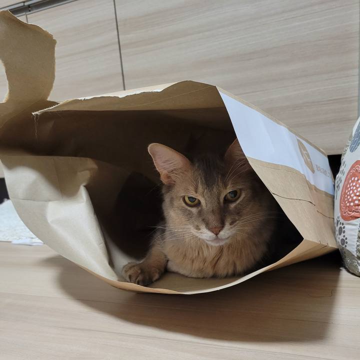 E58ad9a1 205c 44c2 80c9 79f2a1294f9c 1659322288962