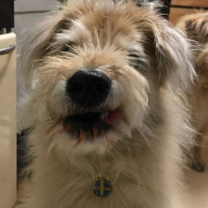 E58afced 824a 4d7d 9b48 35195a1cc81c 1557957567488