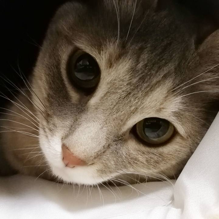 E58b00a7 c88f 4310 be00 1f6d6decb35e 1514459056048